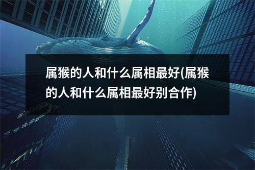 属猴的人和什么属相好(属猴的人和什么属相好别合作)