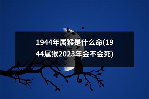 1944年属猴是什么命(1944属猴2023年会不会死)