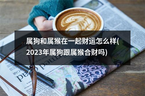 属狗和属猴在一起财运怎么样(2023年属狗跟属猴合财吗)