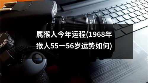 属猴人今年运程(1968年猴人55一56岁运势如何)