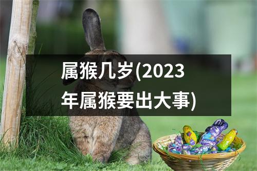 属猴几岁(2023年属猴要出大事)