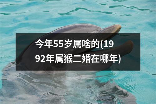 今年55岁属啥的(1992年属猴二婚在哪年)