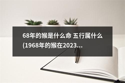 68年的猴是什么命 五行属什么(1968年的猴在2023年的运势怎么样)