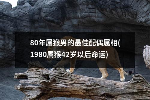 80年属猴男的佳配偶属相(1980属猴42岁以后命运)