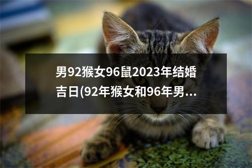 男92猴女96鼠2023年结婚吉日(92年猴女和96年男鼠相克嘛)