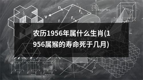 农历1956年属什么生肖(1956属猴的寿命死于几月)