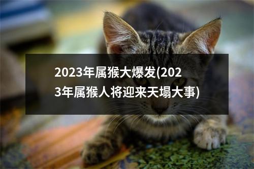 2023年属猴大爆发(2023年属猴人将迎来天塌大事)