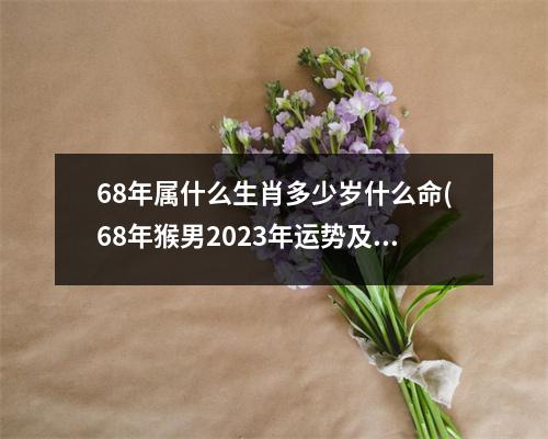 68年属什么生肖多少岁什么命(68年猴男2023年运势及运程及财运)