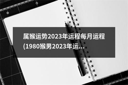 属猴运势2023年运程每月运程(1980猴男2023年运势完整版)