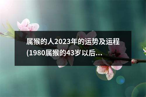 属猴的人2023年的运势及运程(1980属猴的43岁以后运气)