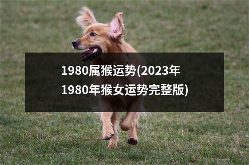 1980属猴运势(2023年1980年猴女运势完整版)