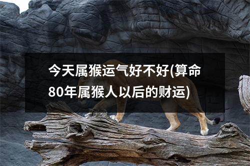 今天属猴运气好不好(算命80年属猴人以后的财运)