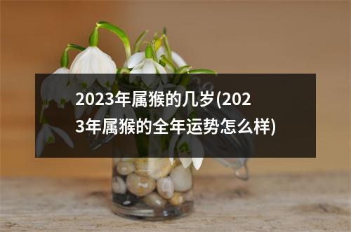 2023年属猴的几岁(2023年属猴的全年运势怎么样)