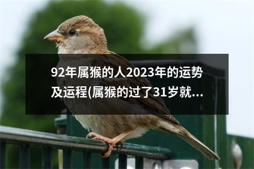 92年属猴的人2023年的运势及运程(属猴的过了31岁就顺了)