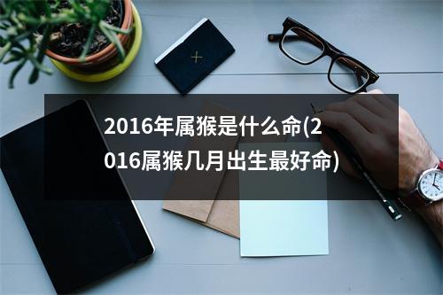 2016年属猴是什么命(2016属猴几月出生好命)