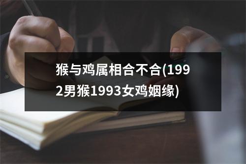 猴与鸡属相合不合(1992男猴1993女鸡姻缘)