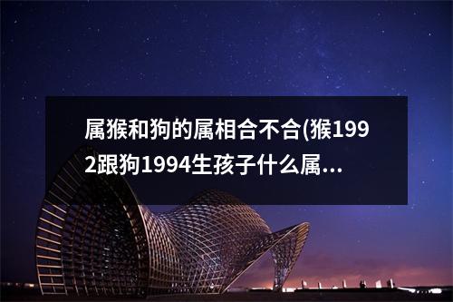 属猴和狗的属相合不合(猴1992跟狗1994生孩子什么属相好)