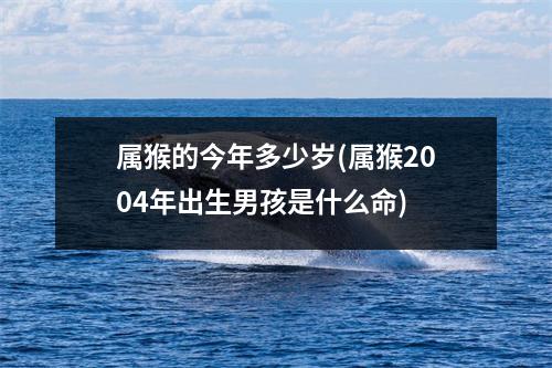 属猴的今年多少岁(属猴2004年出生男孩是什么命)