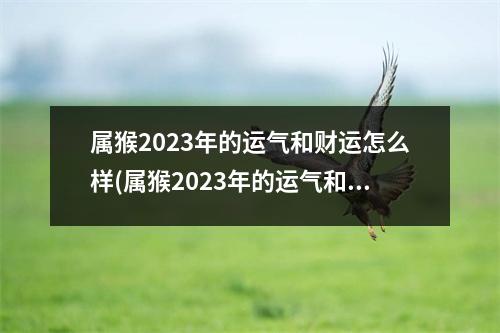 属猴2023年的运气和财运怎么样(属猴2023年的运气和财运怎么样啊吉利)