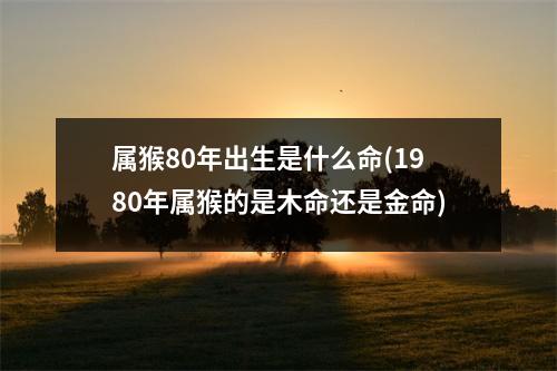 属猴80年出生是什么命(1980年属猴的是木命还是金命)