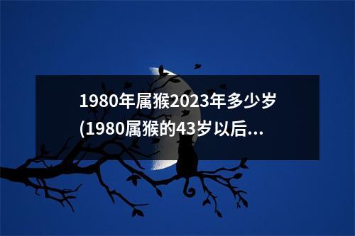 1980年属猴2023年多少岁(1980属猴的43岁以后运气)