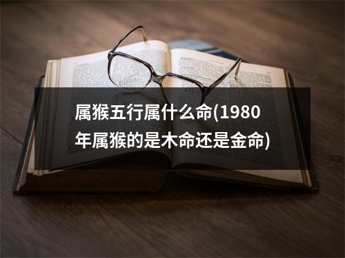 属猴五行属什么命(1980年属猴的是木命还是金命)