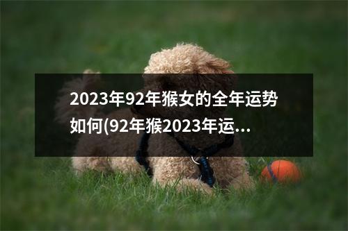 2023年92年猴女的全年运势如何(92年猴2023年运势及运程每月运程)