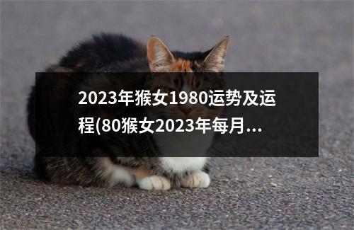 2023年猴女1980运势及运程(80猴女2023年每月运势如何)