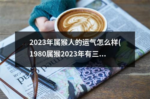 2023年属猴人的运气怎么样(1980属猴2023年有三喜)