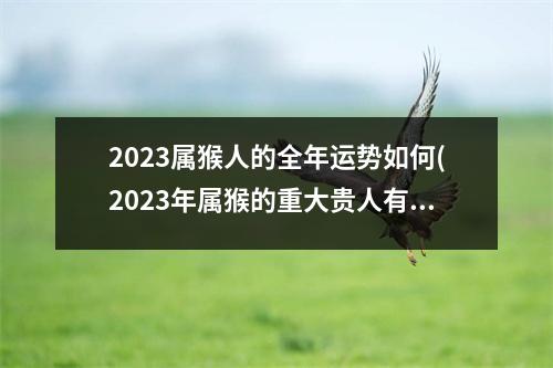 2023属猴人的全年运势如何(2023年属猴的重大贵人有哪些)