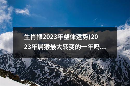 生肖猴2023年整体运势(2023年属猴大转变的一年吗)