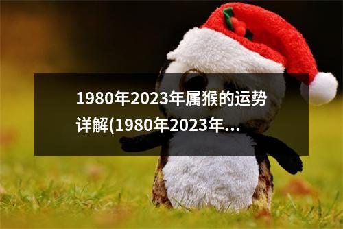 1980年2023年属猴的运势详解(1980年2023年属猴的运势详解一生)