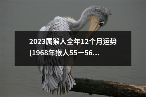 2023属猴人全年12个月运势(1968年猴人55一56岁运势如何)