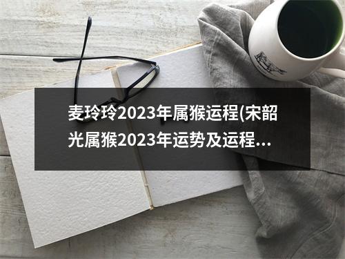 麦玲玲2023年属猴运程(宋韶光属猴2023年运势及运程)