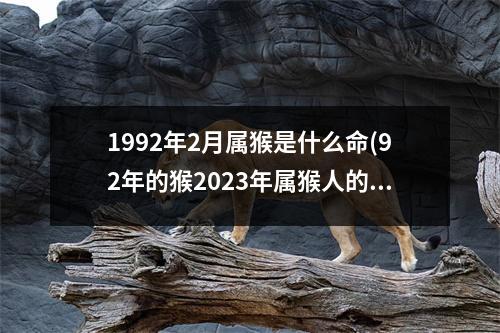 1992年2月属猴是什么命(92年的猴2023年属猴人的全年运势)