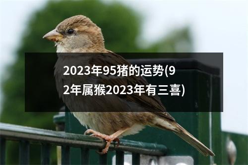 2023年95猪的运势(92年属猴2023年有三喜)