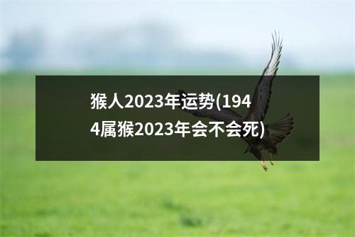 猴人2023年运势(1944属猴2023年会不会死)