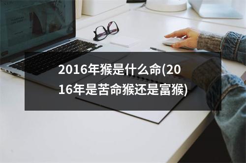 2016年猴是什么命(2016年是苦命猴还是富猴)