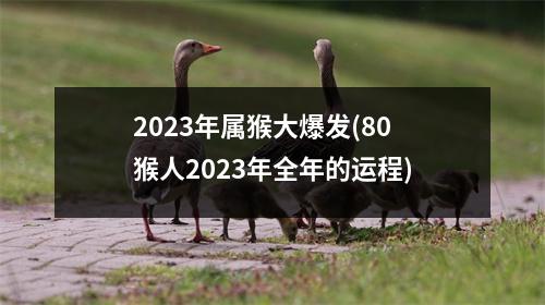 2023年属猴大爆发(80猴人2023年全年的运程)