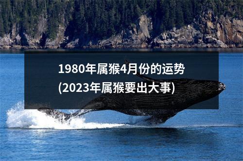 1980年属猴4月份的运势(2023年属猴要出大事)