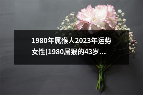 1980年属猴人2023年运势女性(1980属猴的43岁以后运气)