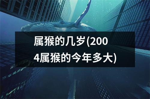 属猴的几岁(2004属猴的今年多大)