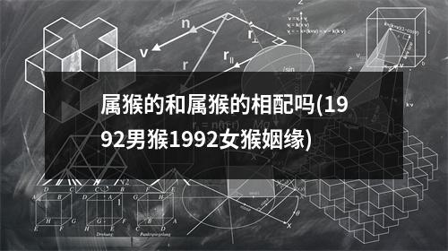 属猴的和属猴的相配吗(1992男猴1992女猴姻缘)