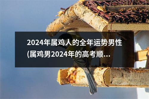 2024年属鸡人的全年运势男性(属鸡男2024年的高考顺利吗)