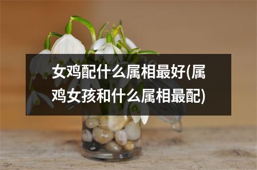 女鸡配什么属相好(属鸡女孩和什么属相配)