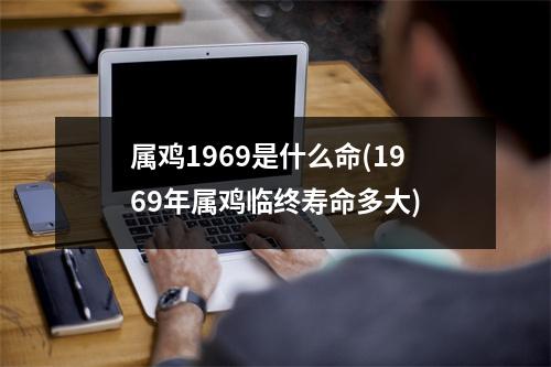 属鸡1969是什么命(1969年属鸡临终寿命多大)