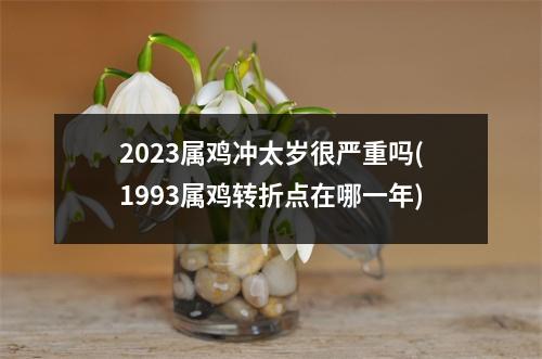 2023属鸡冲太岁很严重吗(1993属鸡转折点在哪一年)