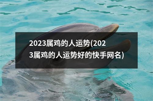 2023属鸡的人运势(2023属鸡的人运势好的快手网名)