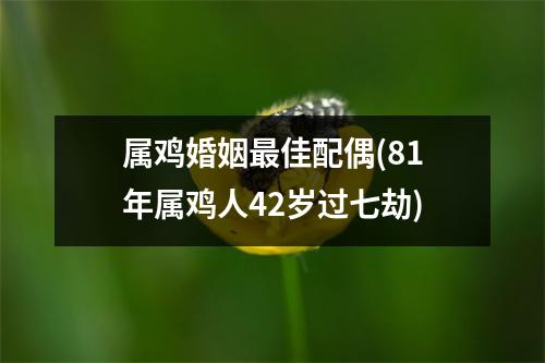 属鸡婚姻佳配偶(81年属鸡人42岁过七劫)