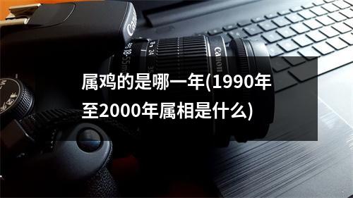 属鸡的是哪一年(1990年至2000年属相是什么)